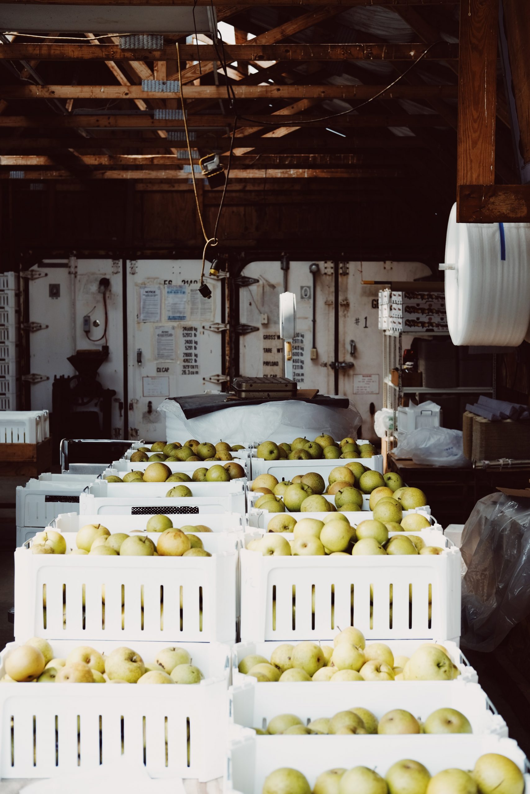 [SupplyChainBrain] Overproduction, Waste Account for $163 Billion in Annual Inventory Losses
