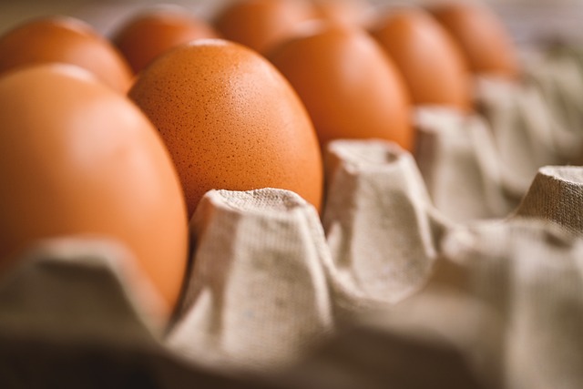 Why Blockchain Is Proving an Ideal Technology for Food Traceability
