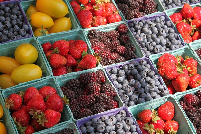 Food Traceability Market Share- Focus on more transparency across the food supply chain