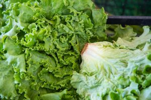 The Traceability Rule was supposed to be law in January. This cyclospora outbreak started in May. [Food Safety News]
